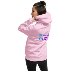 unisex-heavy-blend-hoodie-light-pink-back-63a0ee9c254d8.jpg